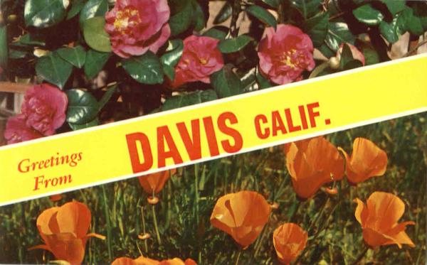 Greetings From Davis California