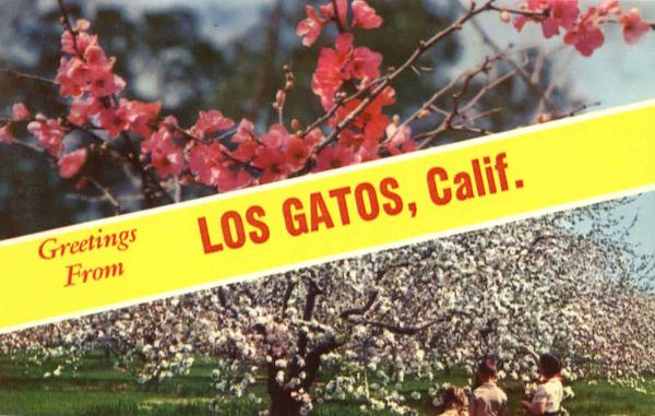 Greetings From Los Gatos California