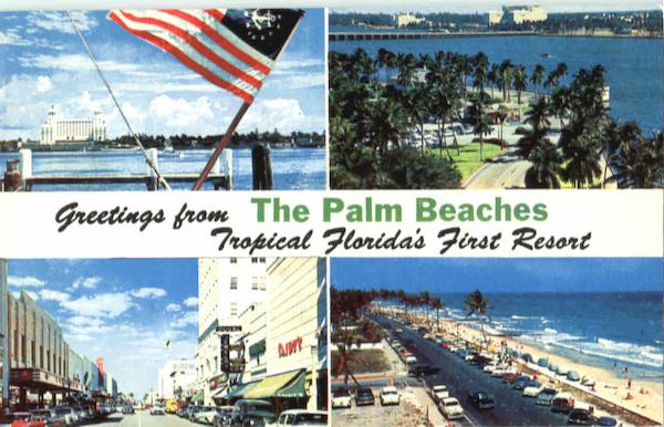 Greetings From The Palm Beaches Florida