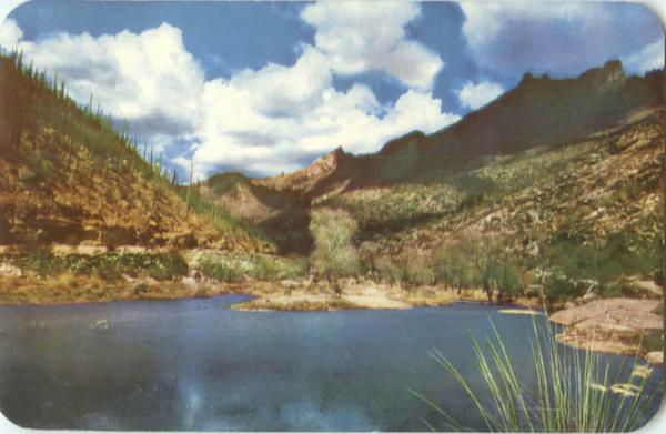 Sabino Canyon Tucson Arizona