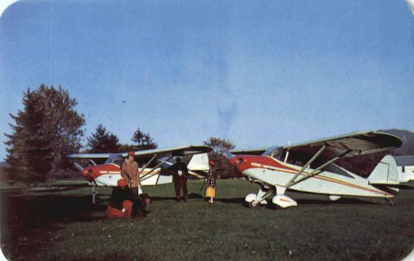 Two New Piper Packers For 1951 Aircraft