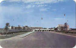 Texas Christian University Postcard