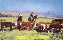 Greetings From Weleetka Postcard