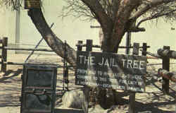 The Famous Jail Trail Wickenburg, AZ Postcard Postcard