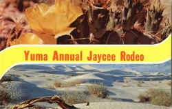 Yuma Annual Jaycee Rodeo Postcard