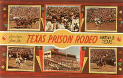 Greetings From The Texas Prison Rodeo Postcard