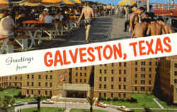 Greetings From Galveston Texas Postcard Postcard