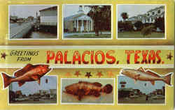 Greetings From Palacios Texas Postcard Postcard