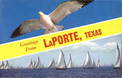 Greetings From Laborite Postcard