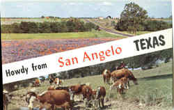 Howdy From San Angelo Texas Postcard Postcard