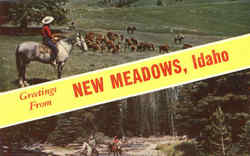 Greetings From New Meadows Idaho Postcard Postcard