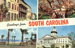 Greetings From South Carolina Postcard