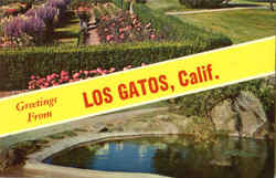 Greetings From Los Gatos California Postcard Postcard