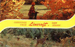 Greetings From Lincroft New Jersey Postcard Postcard