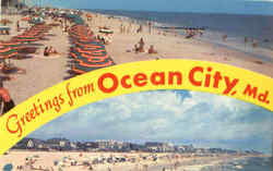 Greetings From Ocean City Postcard