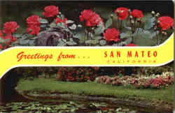 Greetings From San Mateo Postcard