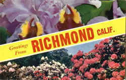 Greetings From Richmond California Postcard Postcard