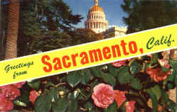 Greetings From Sacramento Postcard