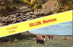 Greetings From Dillon Postcard