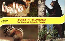 Hello From The Town Of Friendly People Forsyth, MT Postcard Postcard