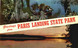 Greetings From Paris Landing State Park Postcard