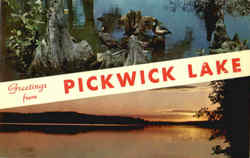 Greetings From Pickwick Tennessee Postcard Postcard