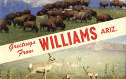 Greetings From Williams Arizona Postcard Postcard