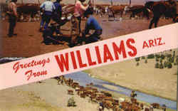 Greetings From Williams Postcard