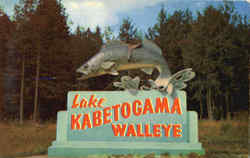 Lake Kabetogama Walleye Postcard