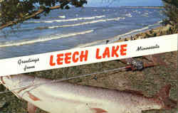 Greetings From Leech Lake Minnesota Postcard Postcard