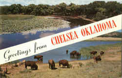 Greetings From Chelsea Oklahoma Postcard Postcard