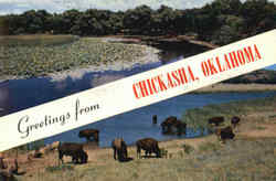 Greetings From Chickasha Oklahoma Postcard Postcard