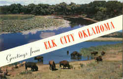 Greetings From Elk City Postcard