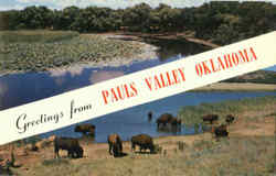 Greetings From Pauls Valley Oklahoma Postcard Postcard