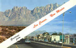 Greetings From Las Cruces Postcard
