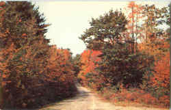 Greetings From Rockland Postcard