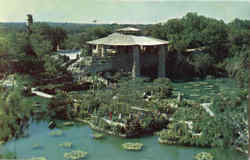Chinese Tea Garden, Brackenridge Park San Antonio, TX Postcard Postcard