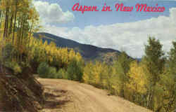 Aspen In New Mexico Postcard