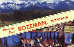 Greetings From Bozeman Postcard