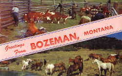 Greetings From Bozeman Montana Postcard Postcard