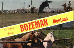 Greetings From Bozeman Montana Postcard Postcard