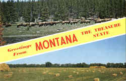Greetings From Montana Scenic, MT Postcard Postcard