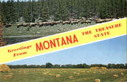 Greetings From Montana Postcard