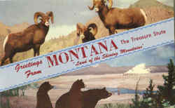 Greetings From Montana Postcard