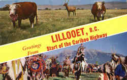 Greetings From Lillooet Postcard
