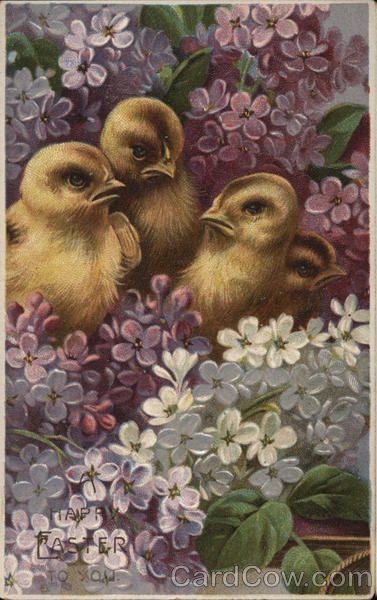A Happy Easter To You With Chicks