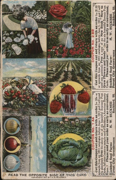 Buckbee's Seeds Advertising