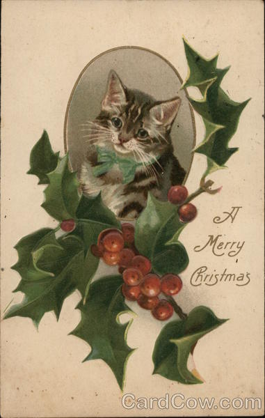 Kitten in Oval Frame, Holly and Berries Beneath With Cats