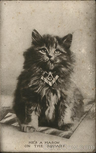He's a Mason on the Square Cats