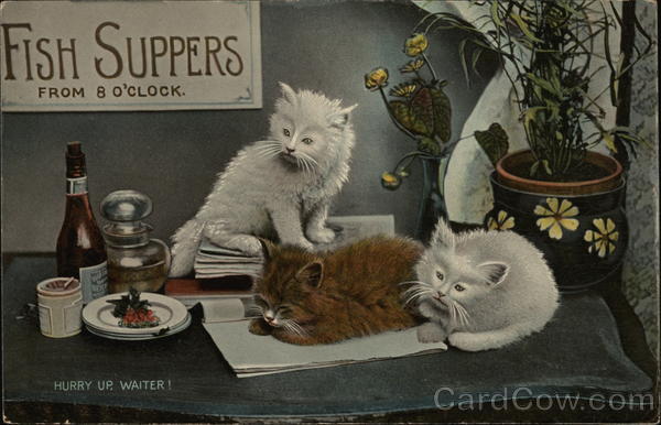 Sign: Fish Suppers from 8 O'Clock - Three Cats Waiting